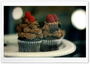Bakery Treats